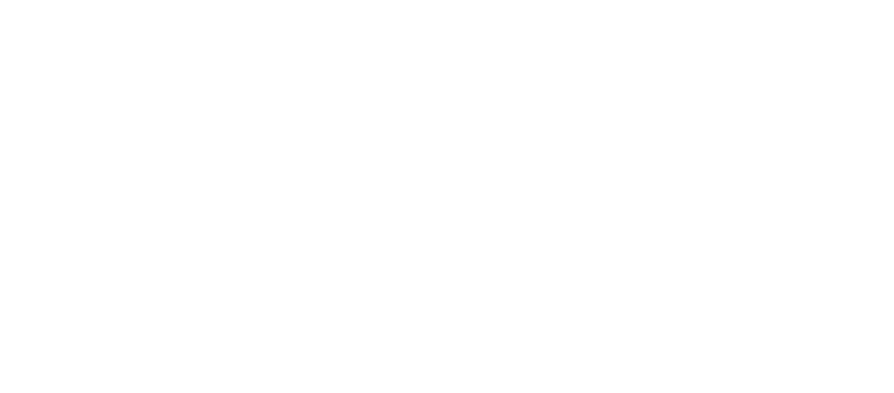 logo ANEMF