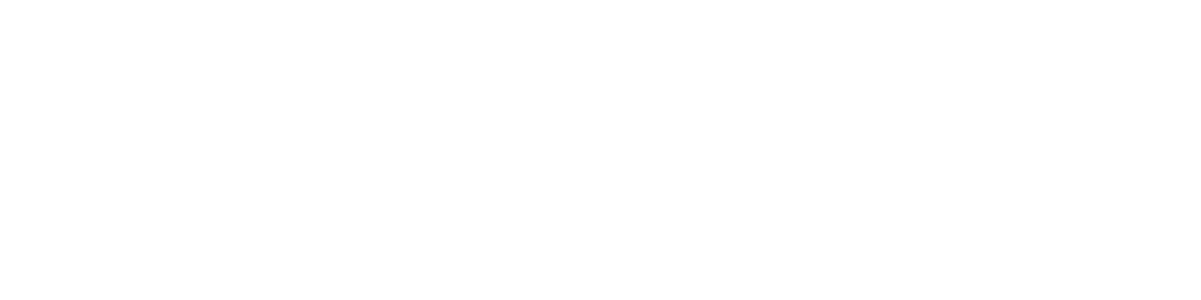 Logo FNEO