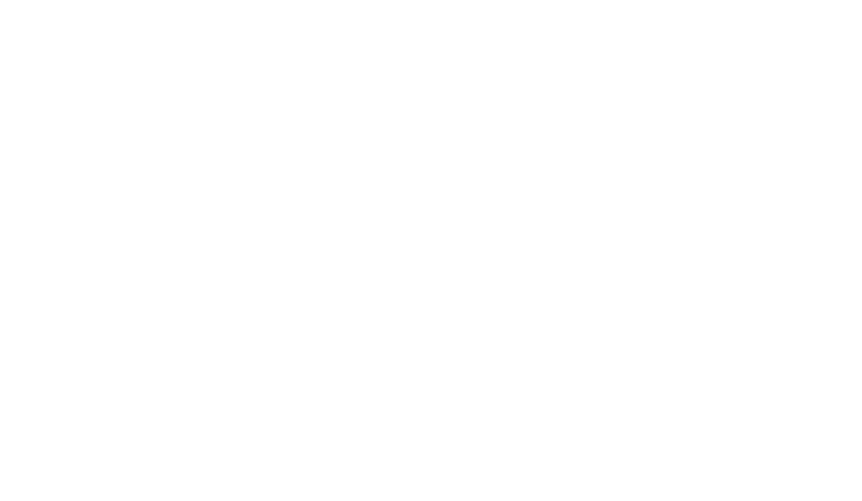 Logo ANESF