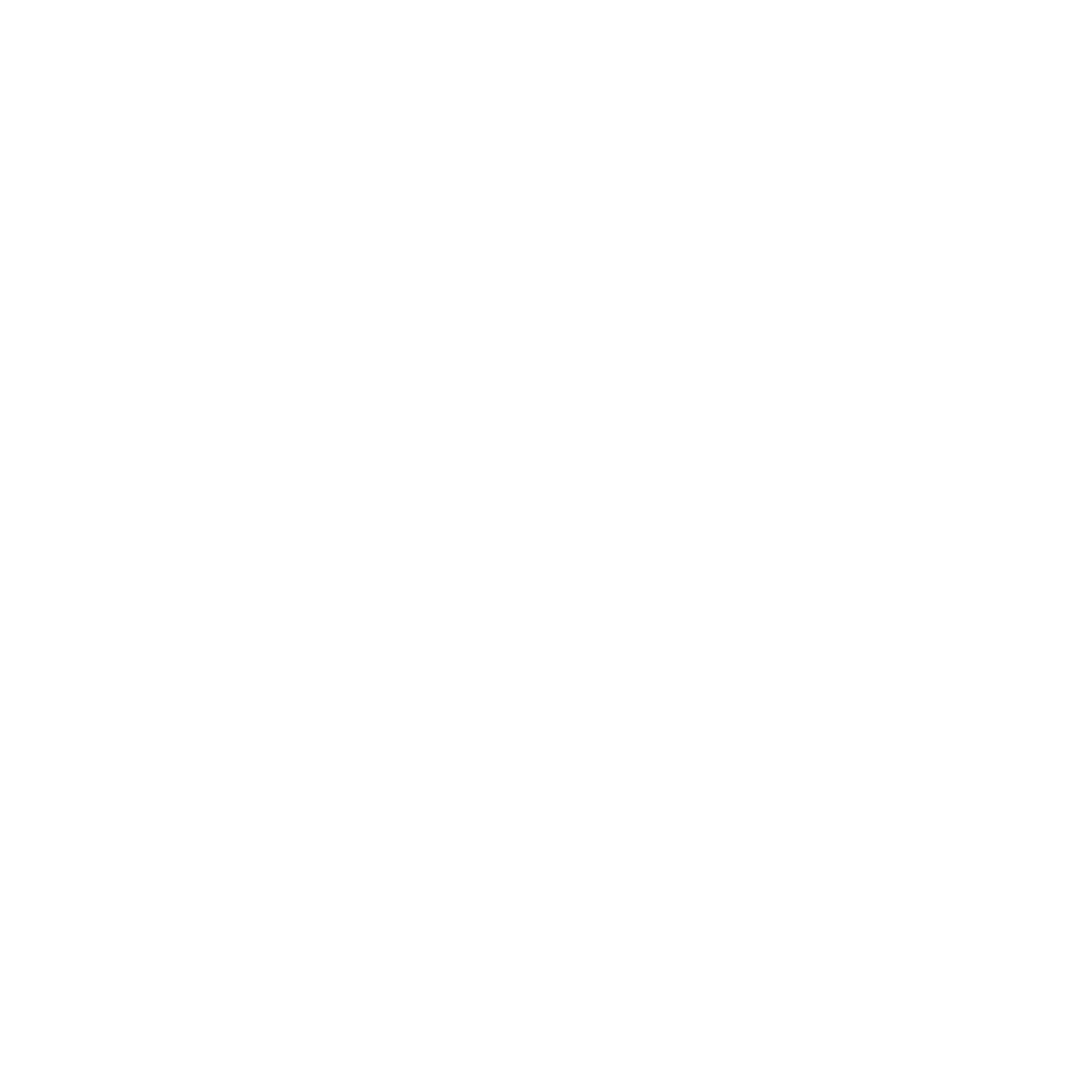 Logo CPTS du Pays du Roi Morvan
